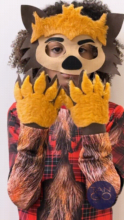 Fantasia Infantil Lobo Mal Zeke